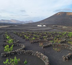 Lanzarote
