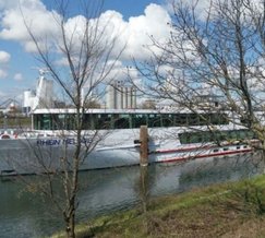 Nicko Cruises - MS Rhein Melodie