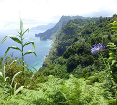 Madeira